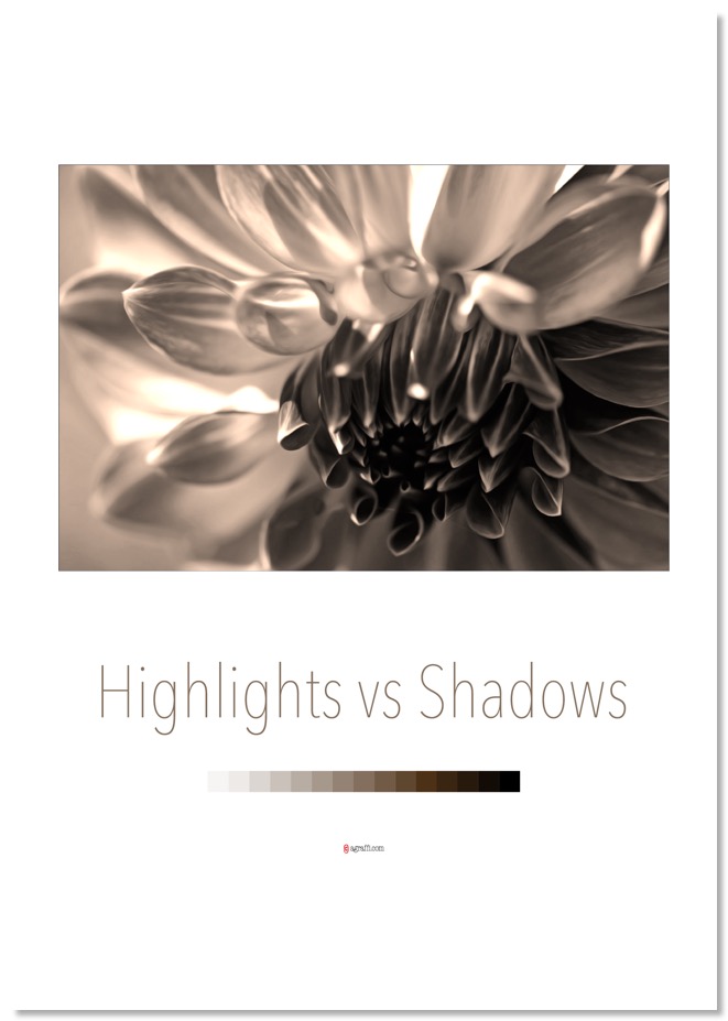 No 10 Highlights versus shadows