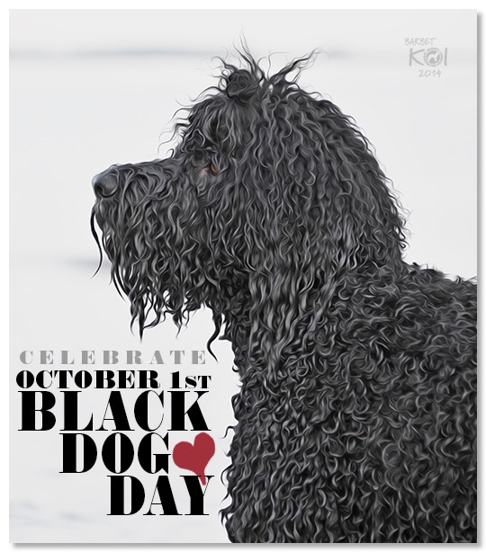 Svarta hundars dag firas av Barbet Koi
