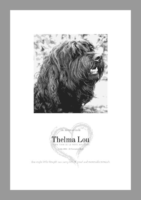 In memoriam - till minne av barbet Thelma Lou